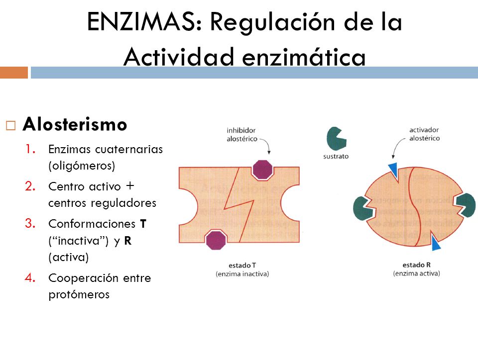 ALOSTERISMO ENZIMATICO EBOOK DOWNLOAD ALOSTERISMO ENZIMATICO EBOOK DOWNLOAD